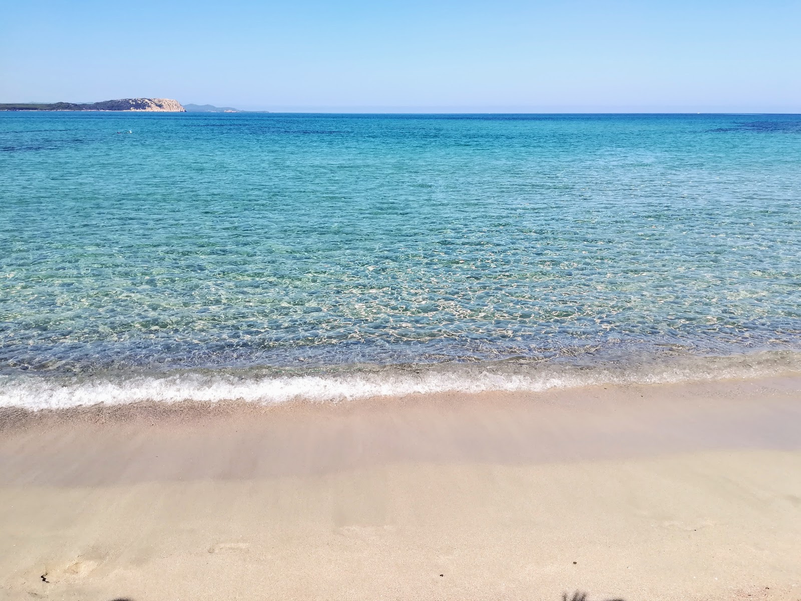 Spiaggia La Liccia photo #9