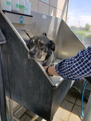 Pet Supply Store «Pet Supplies Plus», reviews and photos, 1755 Marketview Dr, Yorkville, IL 60560, USA