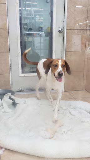 Pet Store «Pets Plus - Quakertown», reviews and photos, 117 S West End Blvd, Quakertown, PA 18951, USA