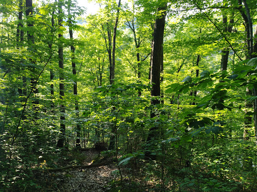 Nature Preserve «Jefferson Memorial Forest», reviews and photos, 11311 Mitchell Hill Rd, Fairdale, KY 40118, USA