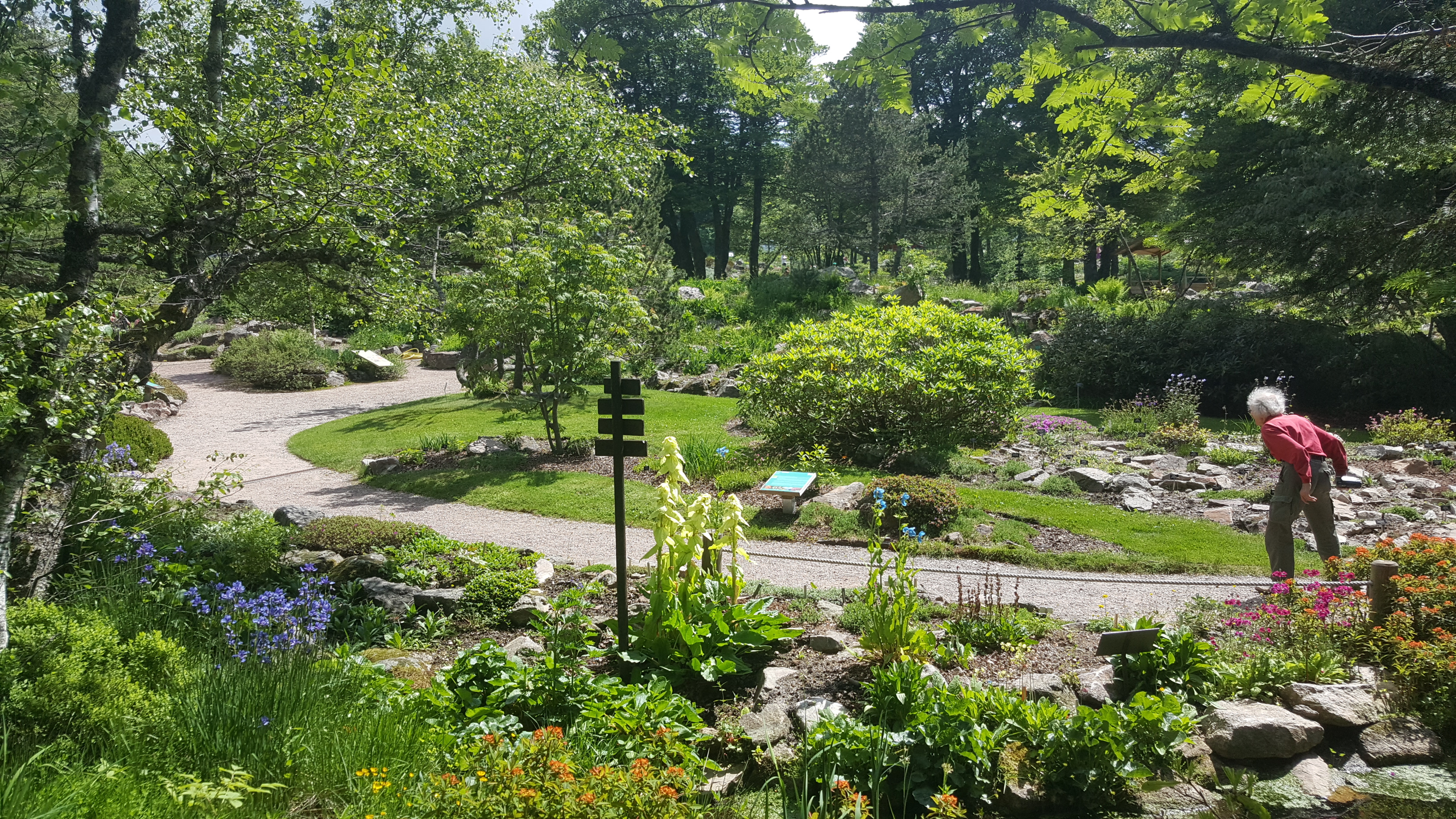 Photo n° 37 de l'avis de Jean-Sébastien.O fait le 23/06/2019 à 16:49