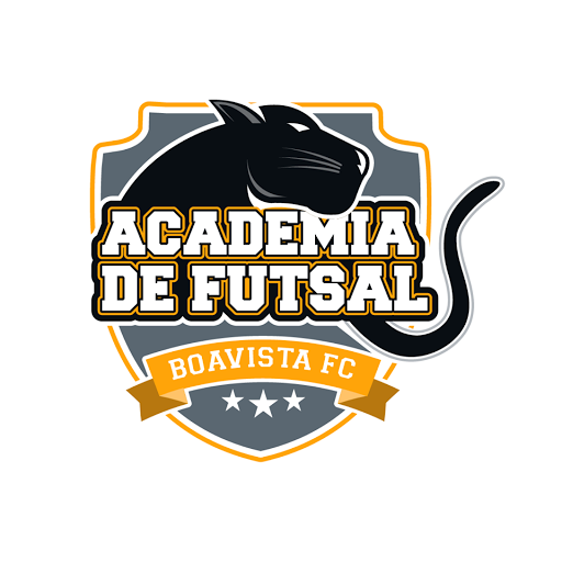 Academia de Futsal Boavista Futebol Clube