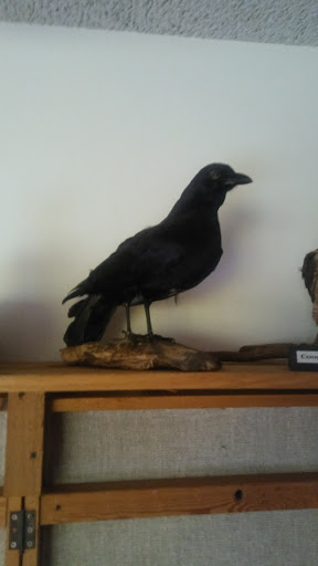 Nature Preserve «DeGraaf Nature Center», reviews and photos, 600 Graafschap Rd, Holland, MI 49423, USA