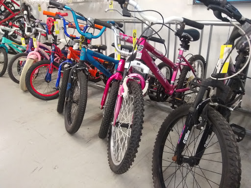 Bicycle Store «LakeShore Bicycles», reviews and photos, 2108 Blanding Blvd, Jacksonville, FL 32210, USA