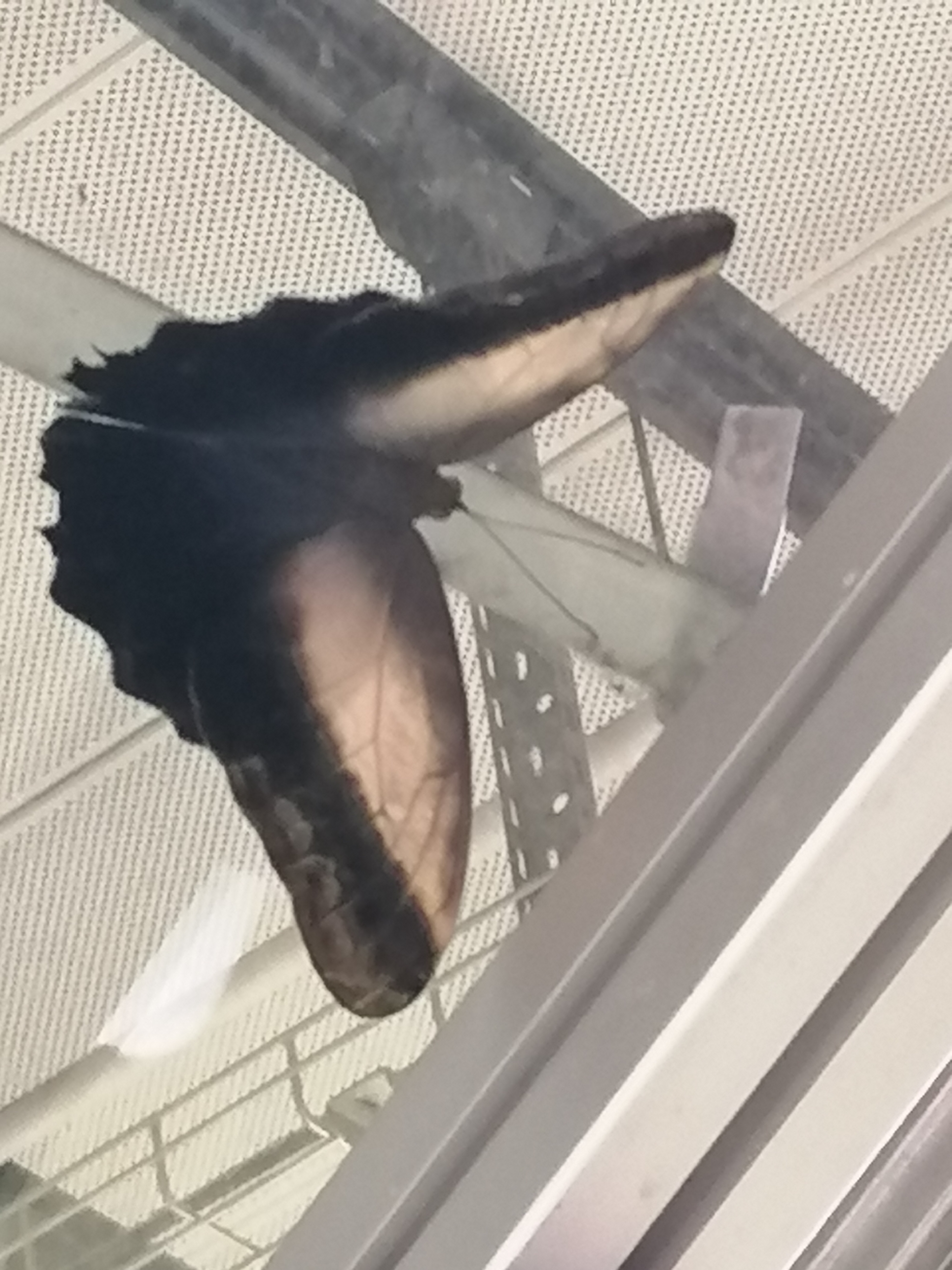 Photo n° 11 de l'avis de Sandrine.o fait le 07/05/2023 à 16:19