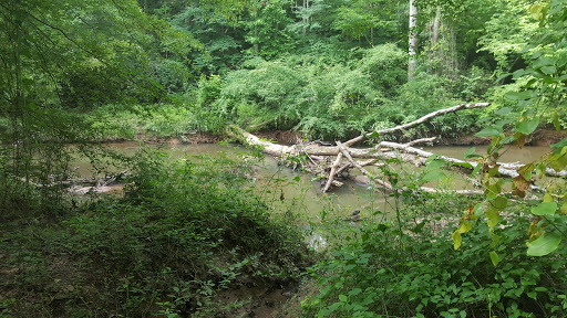 Nature Preserve «Big Creek Greenway», reviews and photos, 3785 Webb Bridge Rd, Alpharetta, GA 30022, USA