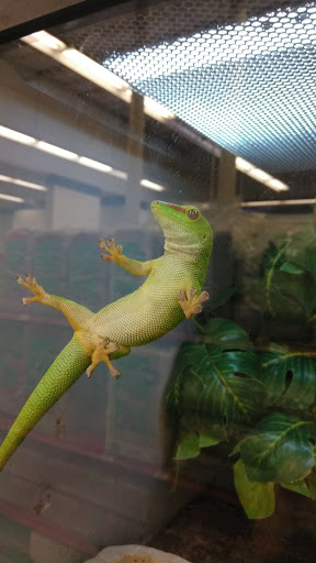 Pet Supply Store «Petco Animal Supplies», reviews and photos, 13127 N Dale Mabry Hwy, Tampa, FL 33618, USA