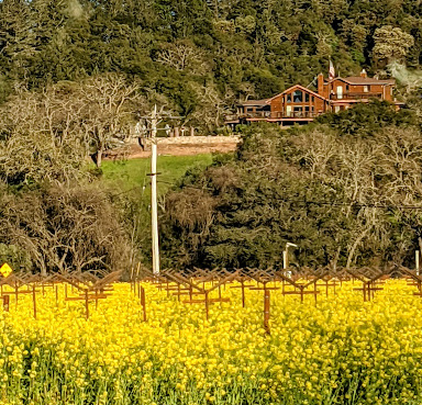 Napa County by null