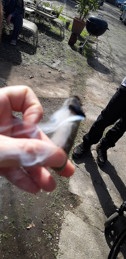 Tobacco Shop «Peacepipe Smoke Shop», reviews and photos, 622 Santa Rosa Ave, Santa Rosa, CA 95404, USA