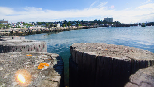 Wedding Venue «Portland Ocean Gateway», reviews and photos, 14 Maine State Pier, Portland, ME 04101, USA