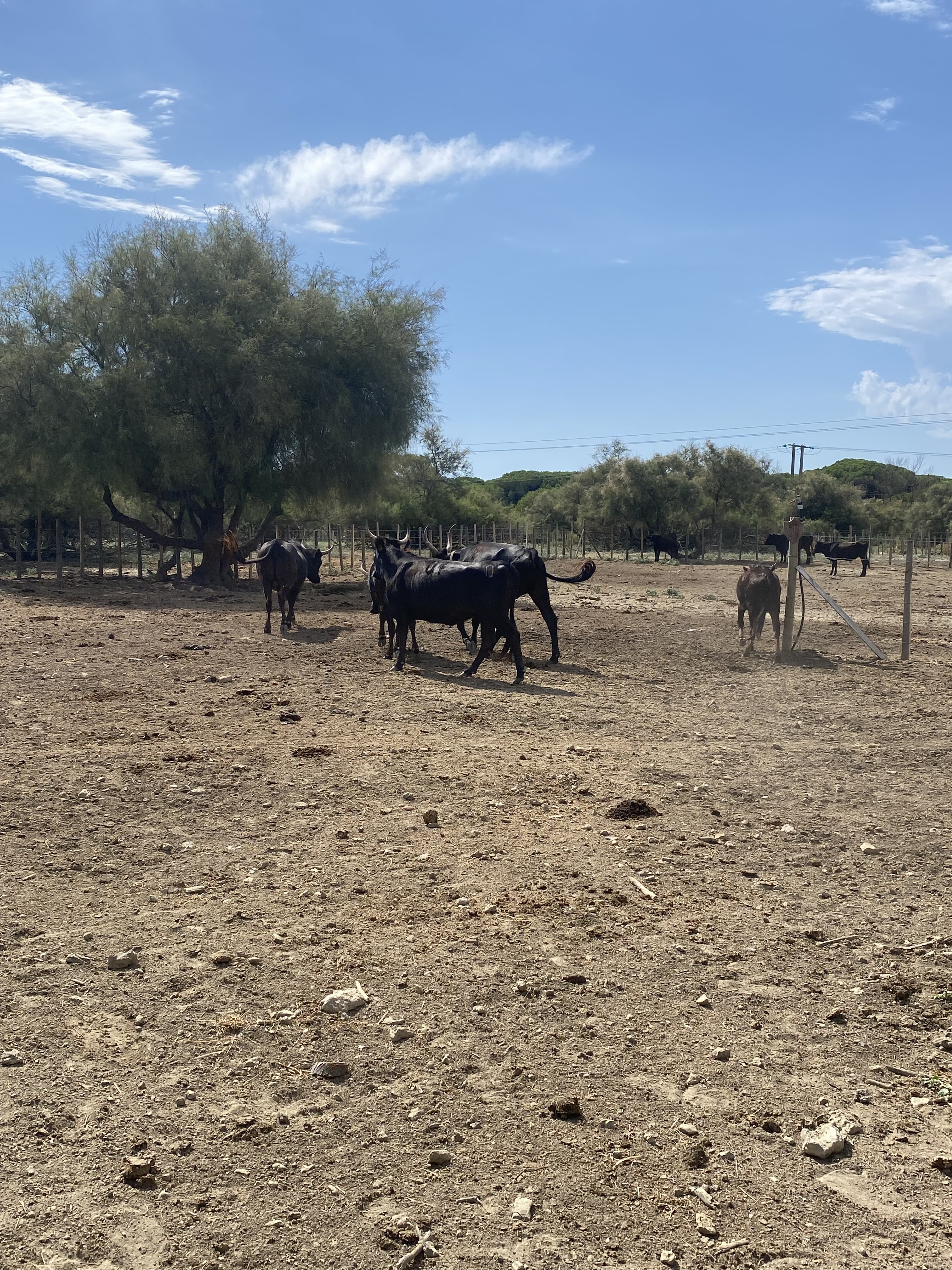 Photo n° 1 de l'avis de Sylvain.a fait le 15/08/2023 à 17:51