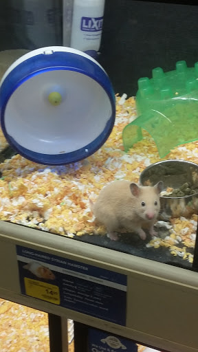 Pet Supply Store «PetSmart», reviews and photos, 400 S State Rd, Springfield, PA 19064, USA