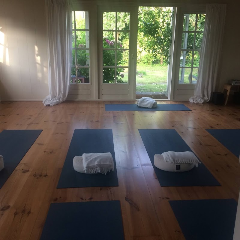 Yoga Amsterdam Noord | Noëlle Sterk