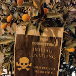 Photo n°3 de l'avis de Daniel.r fait le 24/03/2023 à 16:38 sur le  I torchietti à Finale Ligure