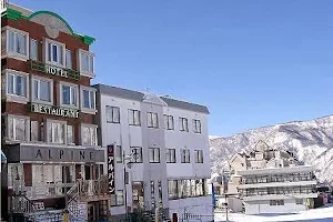 Hotel Alpine image