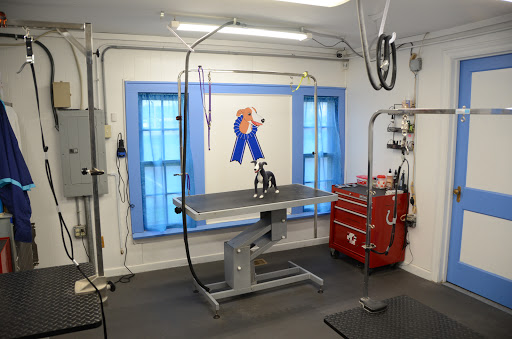 Pet Groomer «Blue Ribbon Dog Grooming LLC Anderson», reviews and photos, 5038 S Scatterfield Rd, Anderson, IN 46013, USA