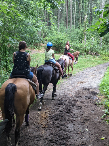 Tourist Attraction «C and L Stables», reviews and photos, 1095 Ives Rd, East Greenwich, RI 02818, USA