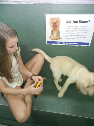 Pet Store «Petland Montgomery», reviews and photos, 7127 Eastchase Pkwy, Montgomery, AL 36117, USA