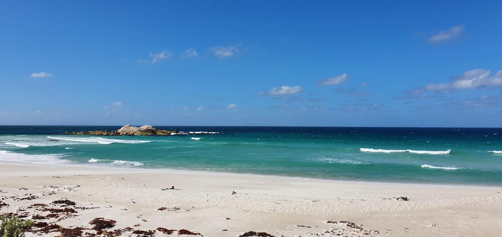 Mount William Beach'in fotoğrafı çok temiz temizlik seviyesi ile