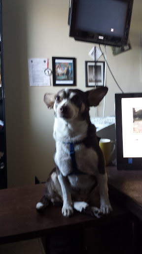 Sporting Goods Store «Somar Billiards», reviews and photos, 6630 W Farm to Market Rd 78 #104, San Antonio, TX 78244, USA