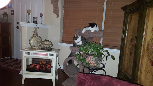 Pet Supply Store «PetSmart», reviews and photos, 2360 W Oregon Ave, Philadelphia, PA 19145, USA