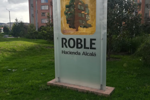 Roble Hacienda Alcalá Conjunto residencial image