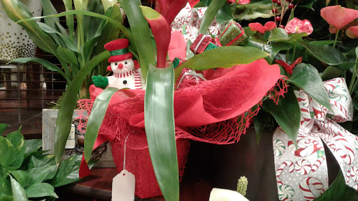 Albertsons image