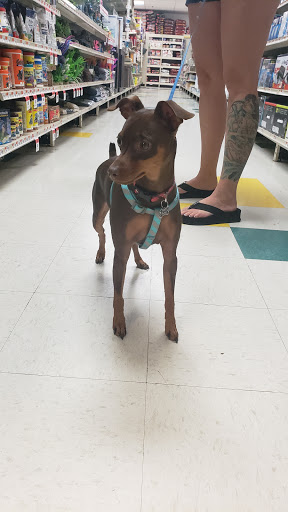 Pet Supply Store «Pet Supplies Plus», reviews and photos, 1816 S Stephenson Ave, Iron Mountain, MI 49801, USA