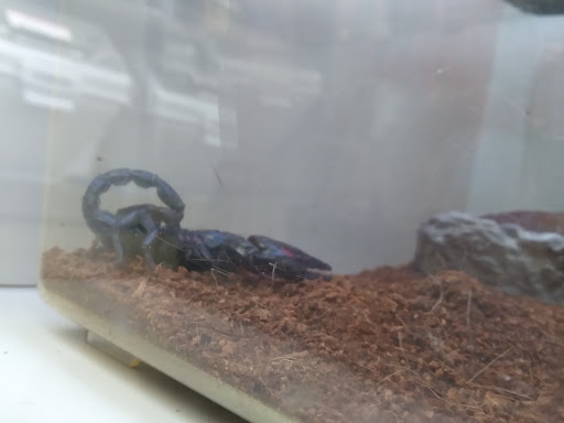 Pet Supply Store «Pet Supplies Plus», reviews and photos, 101 Sutton Ave, Oxford, MA 01540, USA