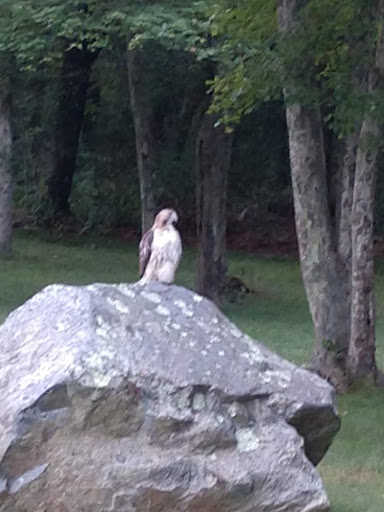 Golf Club «Green Harbor Golf Club», reviews and photos, 624 Webster St, Marshfield, MA 02050, USA