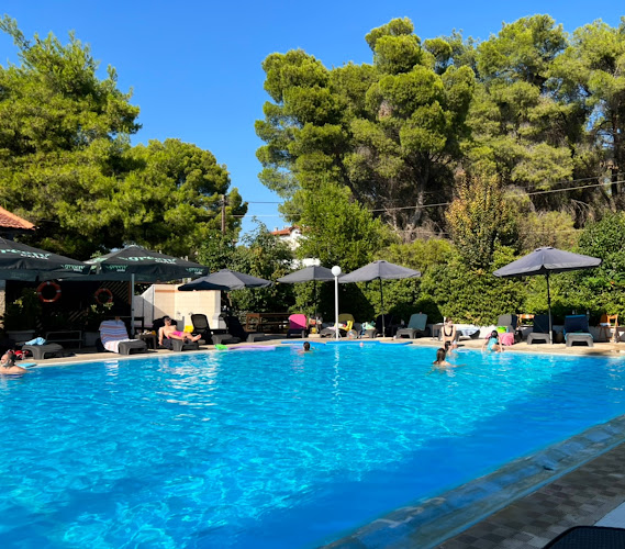 Αξιολογήσεις για το V.A. SPORTS CLUB (πρώην SUNNY) στην Νέα Ερυθραία - Ένωση
