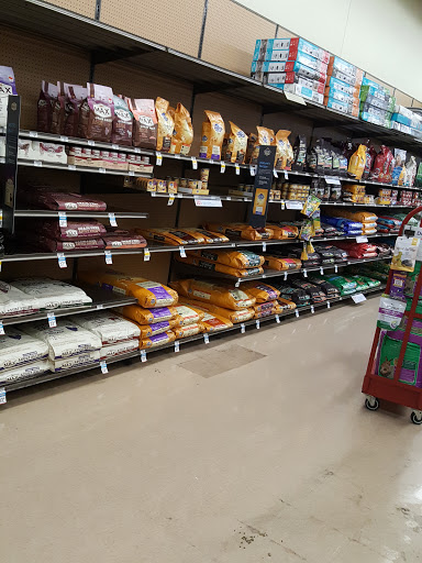 Shopping Mall «Village at Stone Oak», reviews and photos, 22610 US-281, San Antonio, TX 78258, USA