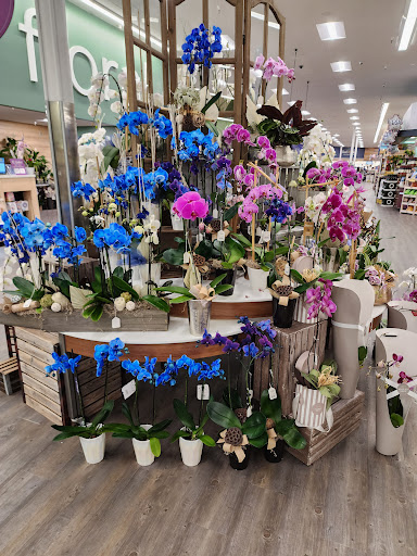 Safeway image
