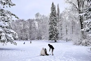 Kisbey Park image