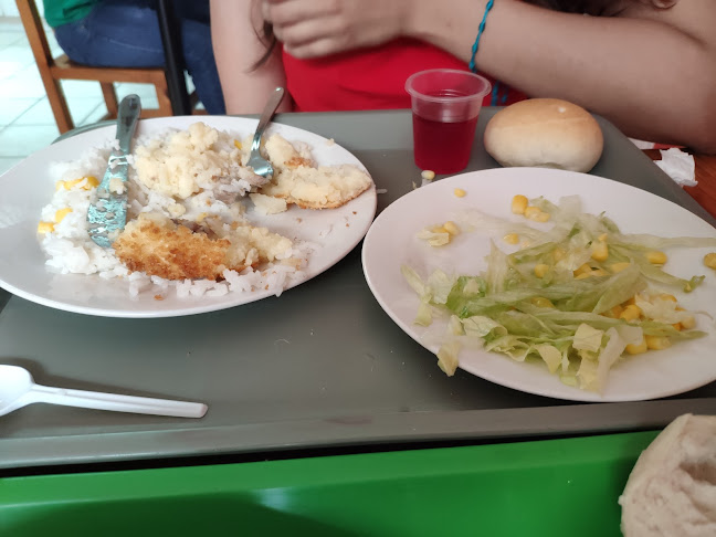 Opiniones de Tenedor Criollo en Curicó - Restaurante