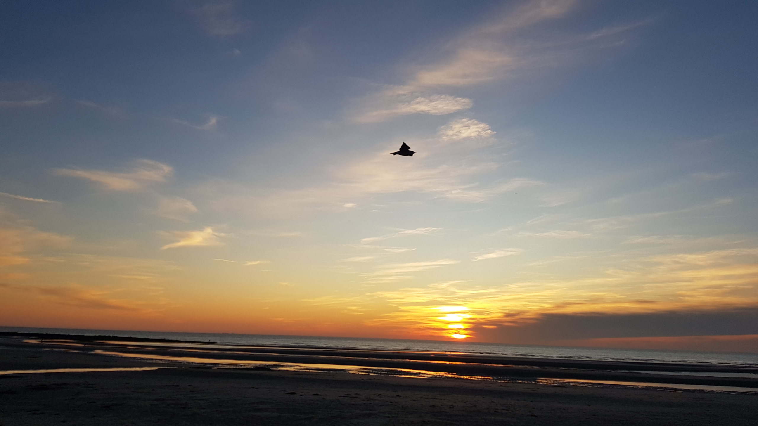 Photo n° 2 de l'avis de LaGrenouille. fait le 17/09/2019 à 06:56