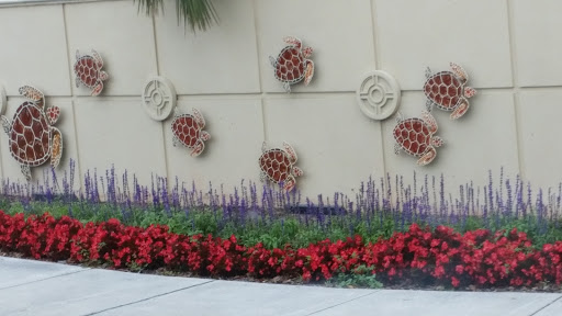 Nature Preserve «Scottsmoor Flatwoods Sanctuary East», reviews and photos, 6000 Magoon Ave, Mims, FL 32754, USA