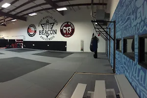 Beacon Mixed Martial Arts and Fitness image