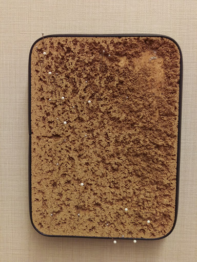 Department Store «Nordstrom Rack Rivers Edge Shopping Center», reviews and photos, 4036 E 82nd St, Indianapolis, IN 46250, USA