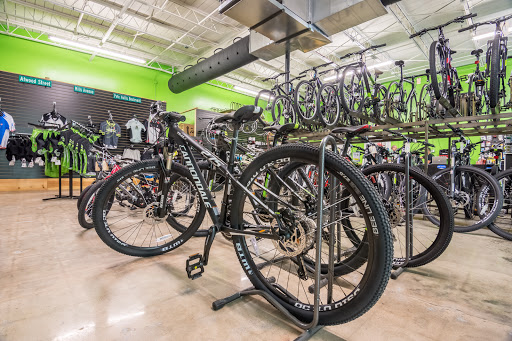 Bicycle Store «Freehub Bicycles», reviews and photos, 25 Delano Dr, Greenville, SC 29601, USA