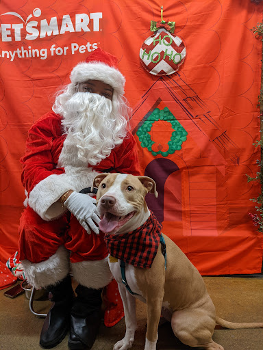 Pet Supply Store «PetSmart», reviews and photos, 238 Atlantic Ave, Brooklyn, NY 11201, USA