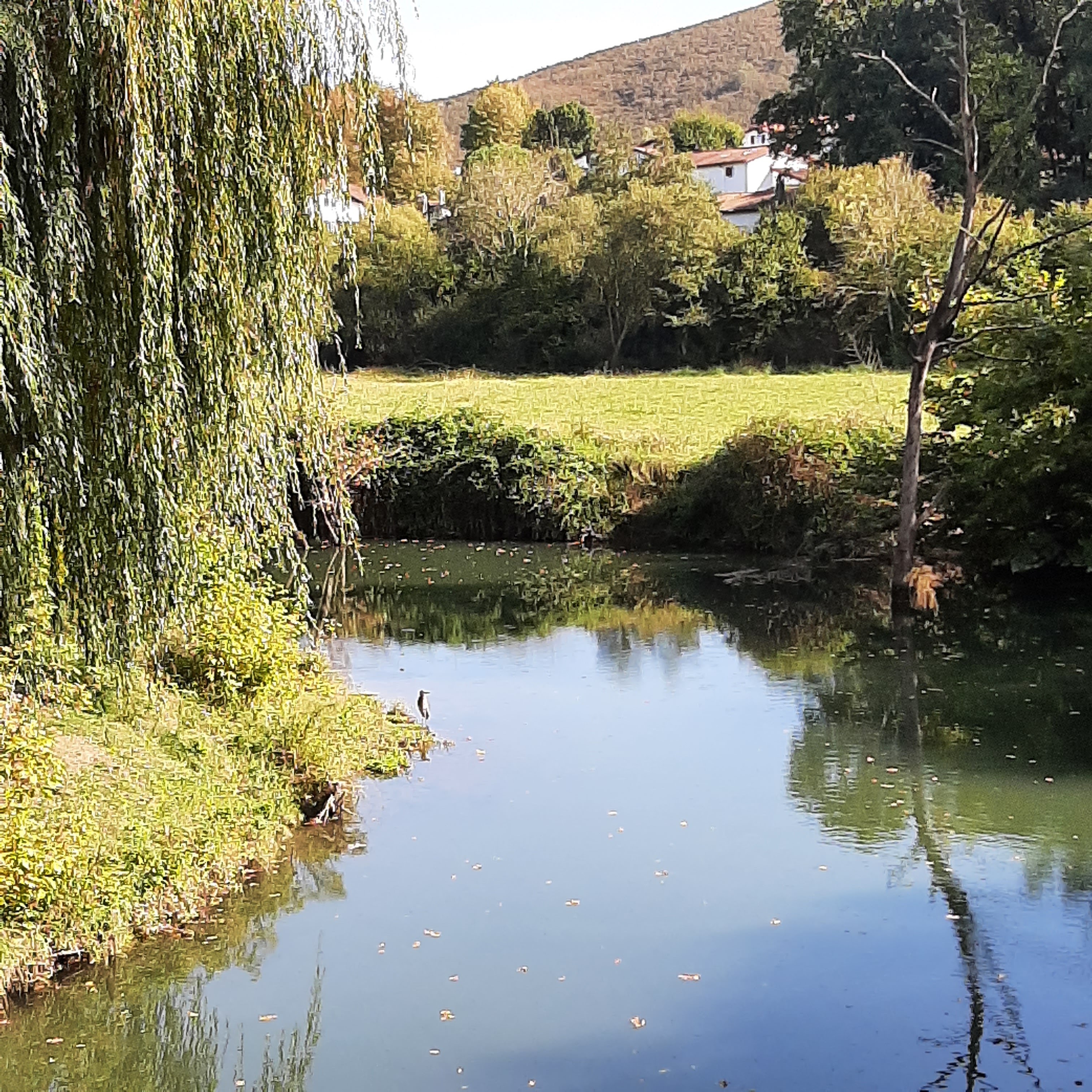 Photo n° 2 de l'avis de Marivoet.l fait le 17/10/2021 à 17:01