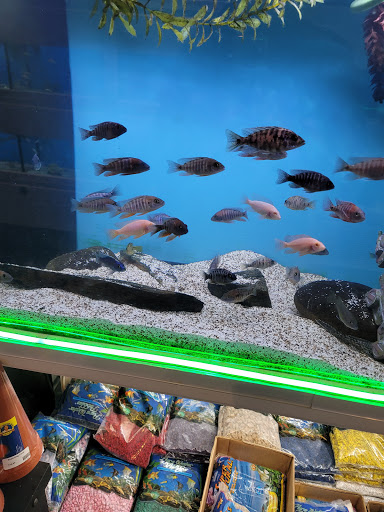 Tropical Fish Store «Fish Room», reviews and photos, 6119 Capital Blvd, Raleigh, NC 27616, USA