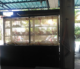 Warung Jawa Muslim Banyuwangi photo
