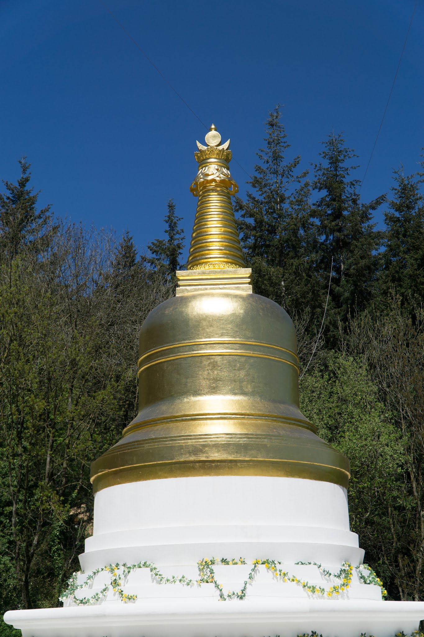 Photo n° 22 de l'avis de Adrien.O fait le 14/07/2018 à 16:10