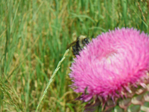 Ski Rental Service «Christy Sports», reviews and photos, 7580 Royal St, Deer Valley, UT 84060, USA