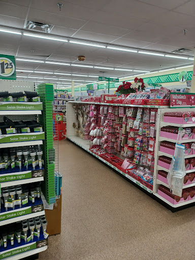 Dollar Store «Dollar Tree», reviews and photos, 3223 Lincoln Hwy, Thorndale, PA 19372, USA