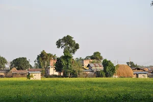 Pemsee's Tree Town image