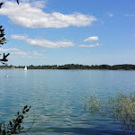 Photo n° 3 de l'avis de Mathilde.A fait le 06/08/2017 à 15:58 pour Réserve Naturelle Nationale d'Arjuzanx à Morcenx-la-Nouvelle