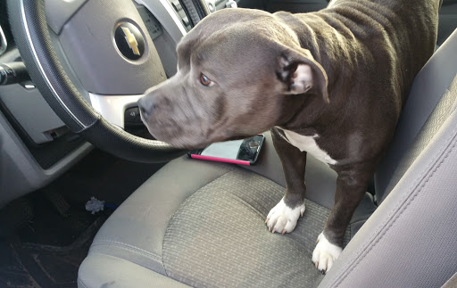 Locksmith «Pop-A-Lock Locksmith Chippewa Valley», reviews and photos, 2122 Hallie Rd a, Chippewa Falls, WI 54729, USA